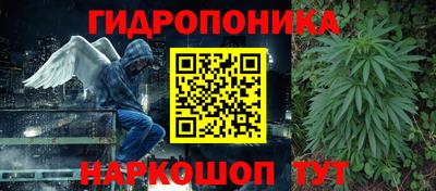 соль ск Канаш
