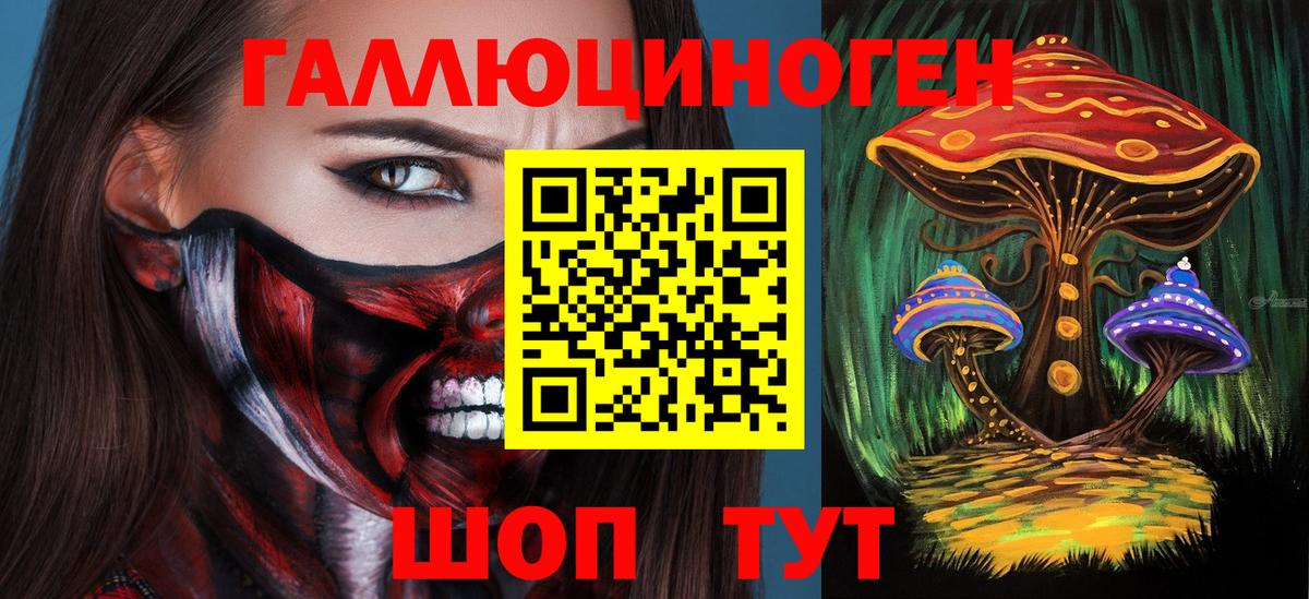 Псилоцибиновые грибы Psilocybe  Псилоцибиновые грибы GOLDEN TEACHER  Красноуфимск  Вход с VPN 