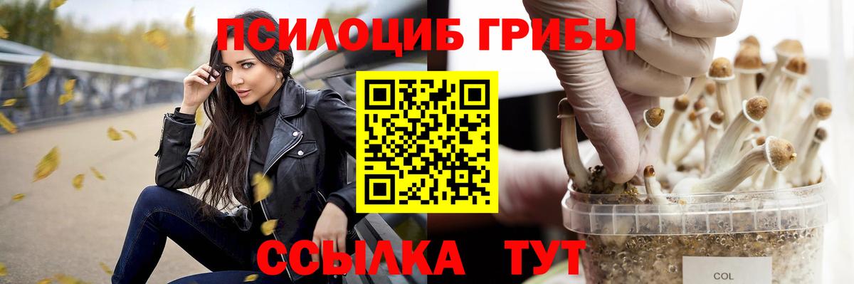 Псилоцибиновые грибы MAGIC MUSHROOMS Красноуфимск